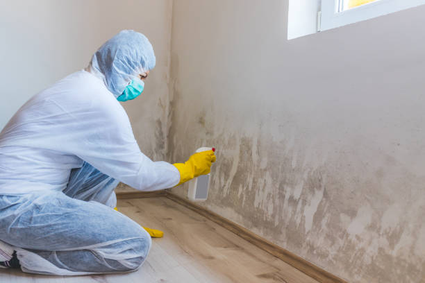 Commercial Mold Remediation assessment for commercial property in Sonora